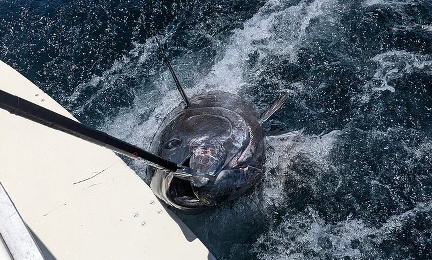 Image 16: Macaronesia Charter de Pesca en La Gomera (Islas Canarias)