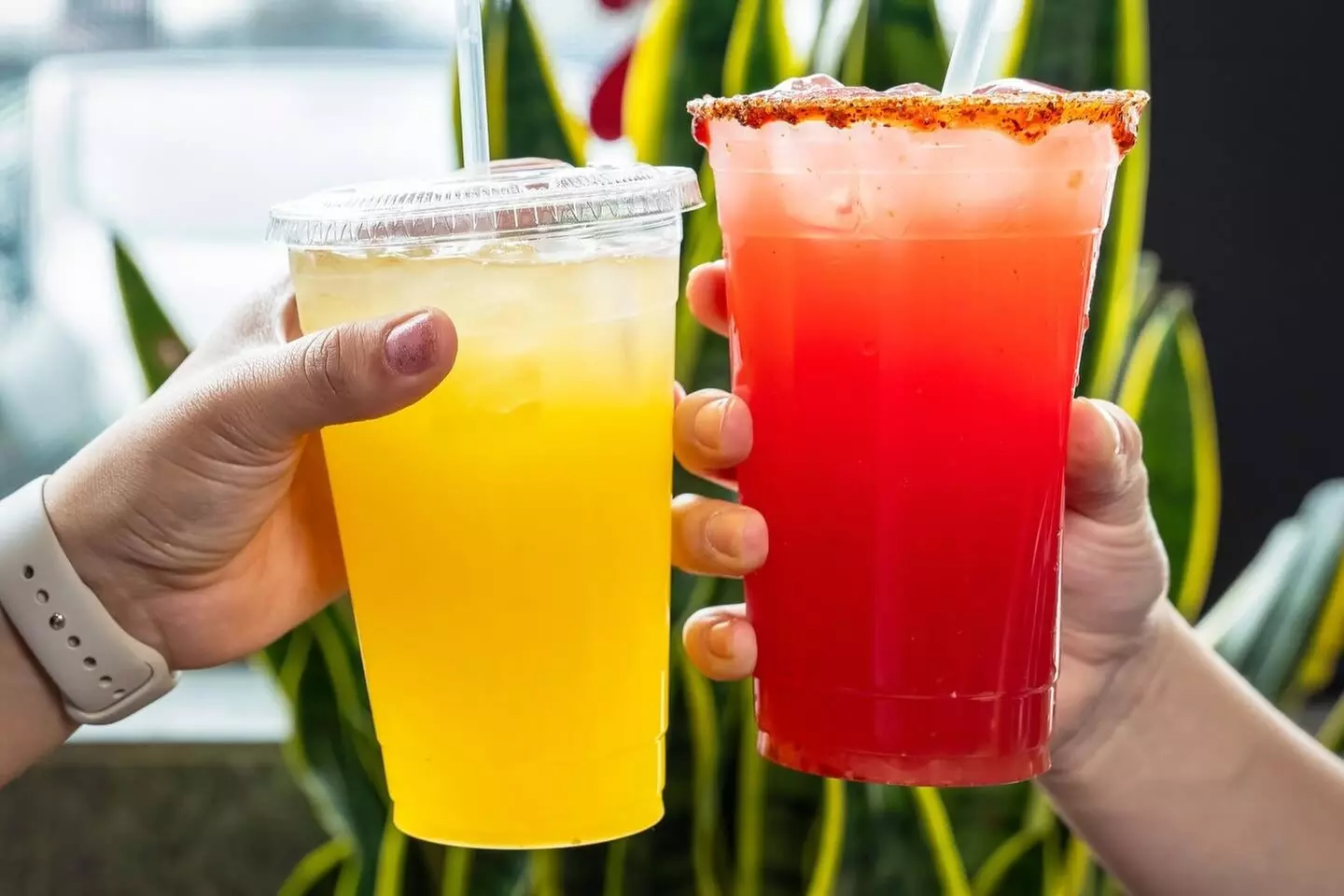 $12.50 For $25 Worth Of Casual Dining