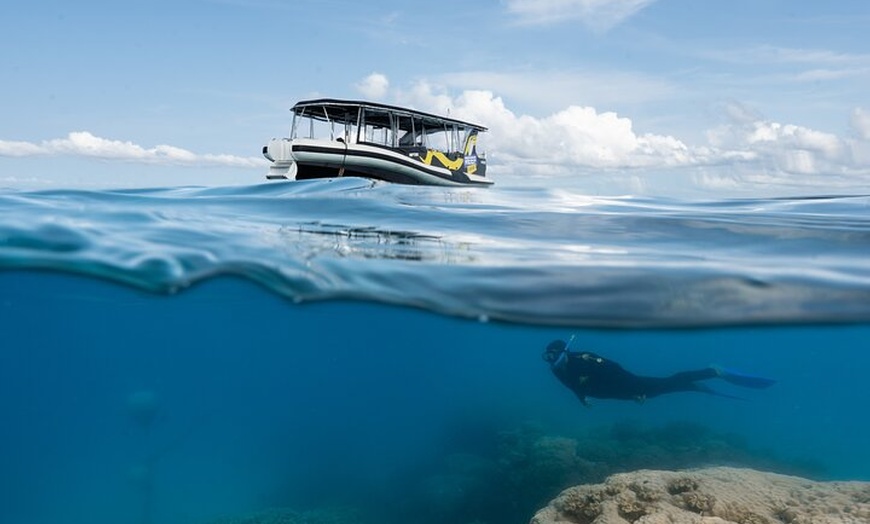 Image 3: Great Barrier Reef Small Group Snorkelling Adventure