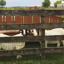 $22 For $44 Worth Of A Round Of Mini Golf For 4 People (Reg. $44)