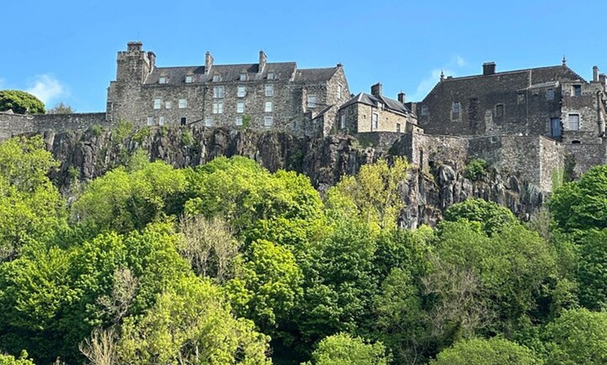 Image 6: The Highland Cows Experience in Scotland