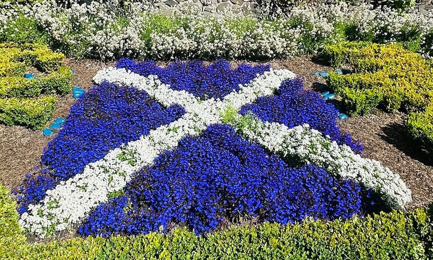 Image 18: Private Perthshire & Drummond Castle Day Tour