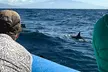 2 Hour Maui Dolphin Watch Sightsee Raft Tour (Semi-Private) - Second Medium