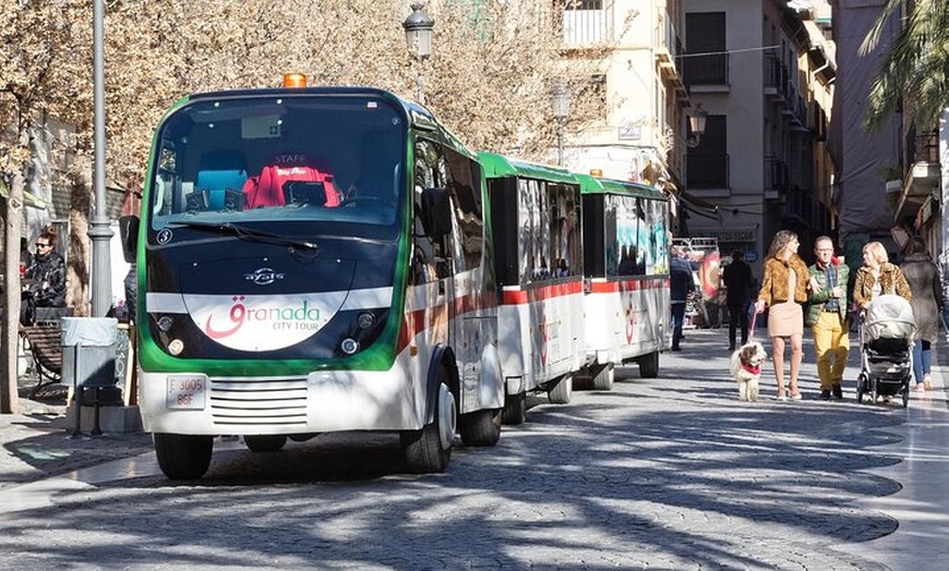 Image 2: Entradas de La Alhambra con Palacios Nazaríes +Tren Turístico