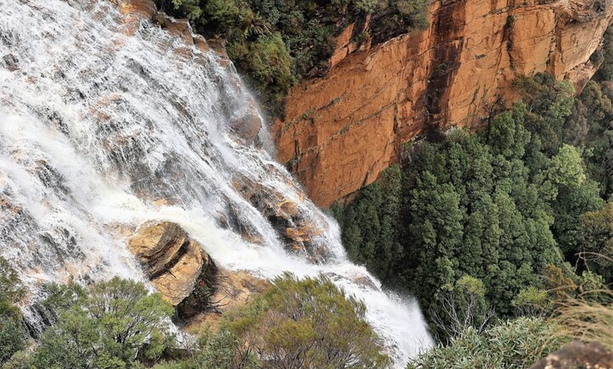 Image 27: Blue Mountains Private Tour