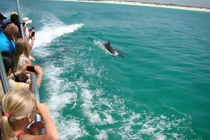 Pensacola Beach Dolphin and Scenic Tour - Primary Image