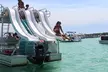 Okaloosa Island Half Day Triple Slide Pontoon Boat Adventure - Second Medium