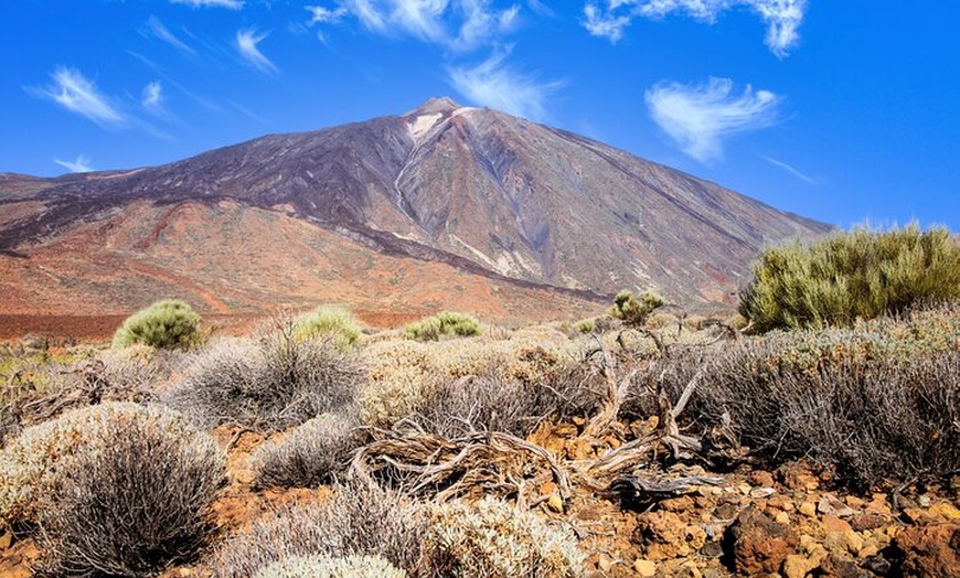 Image 3: Parque Nacional del Teide Paisajes y vida silvestre del volcán Safa...