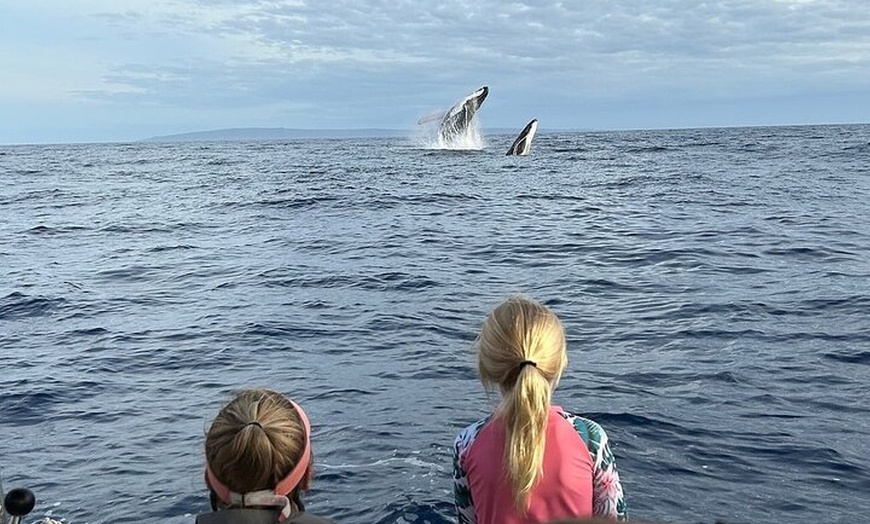 Image 12: Maui Eco-Raft Tour: Hawaiian Cultural Whale Tour (*New)