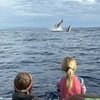 Image 12: Maui Eco-Raft Tour: Hawaiian Cultural Whale Tour (*New)