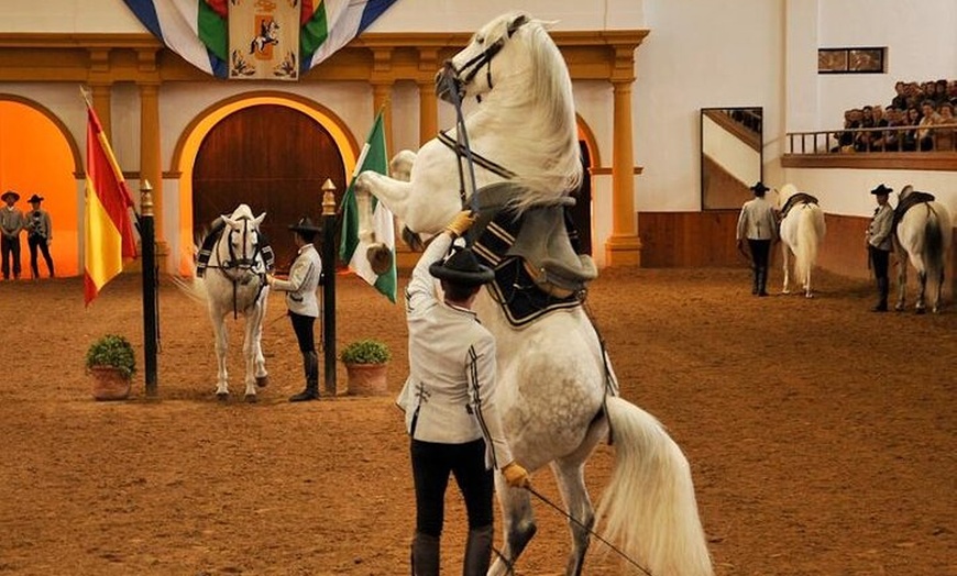 Image 6: Jerez Caballos y Bodegas Tío Pepe desde Estepona y Marbella