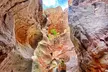 Las Vegas: Arizona Hot Springs Hike with Certified Hiking Guide - Second Medium