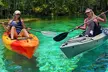 Silver Springs Jungle Kayaking and Paddleboarding - Second Medium