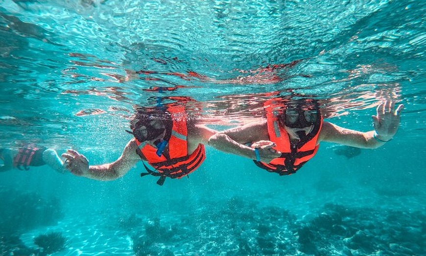 Image 12: Tulum Ruins, Sea Turtles & Cenote Swim Adventure Tour