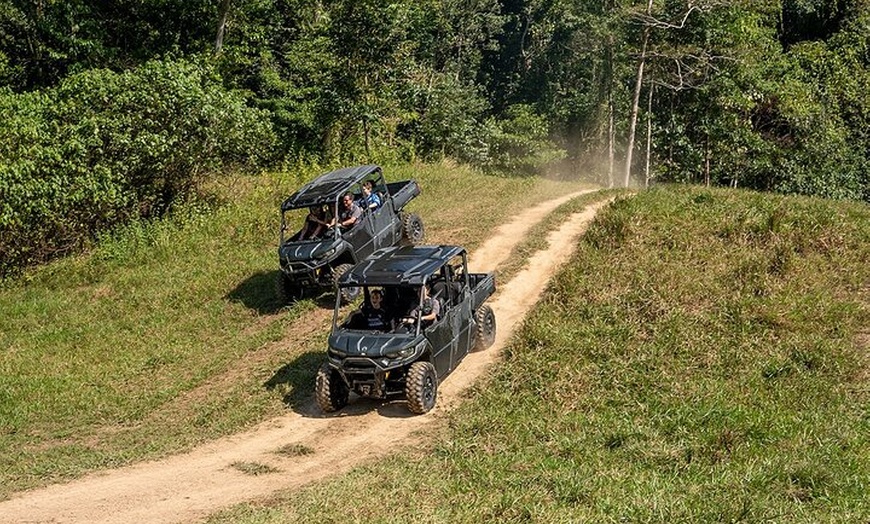 Image 2: UTV 4wd Cassowary Falls and Daintree Rainforest Adventure tour