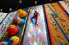 Western Michigan Adventure Park in Allegan Admission