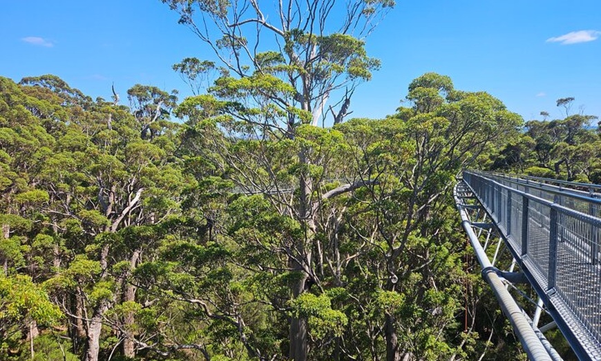 Image 4: 2 Day Tour Busselton Jetty, Ngilgi Cave to Valley of the Giants