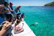 Great Keppel Island Snorkel and Glass Bottom Boat Experience - Image 3