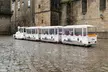 Hola Santiago de Compostela : Privado 2 - Caminata por la ciudad de hora con guía - Image 6