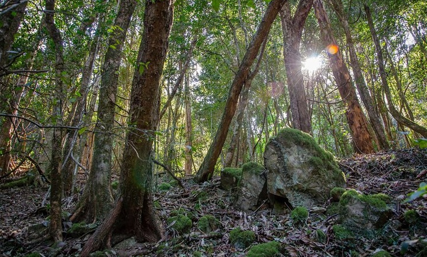 Image 4: Copeland Tops National Park: Mountain Maid Gold Mine Tour