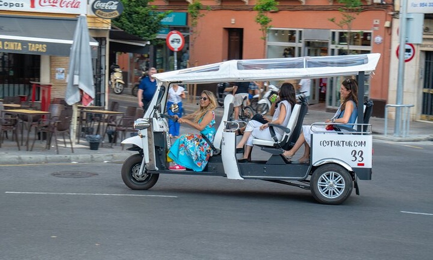 Image 11: Tour de Bienvenida a Sevilla en Eco Tuk Tuk Privado