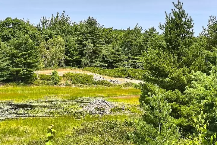 Acadia National Park Bass Harbor Lighthouse Private Driving Tour