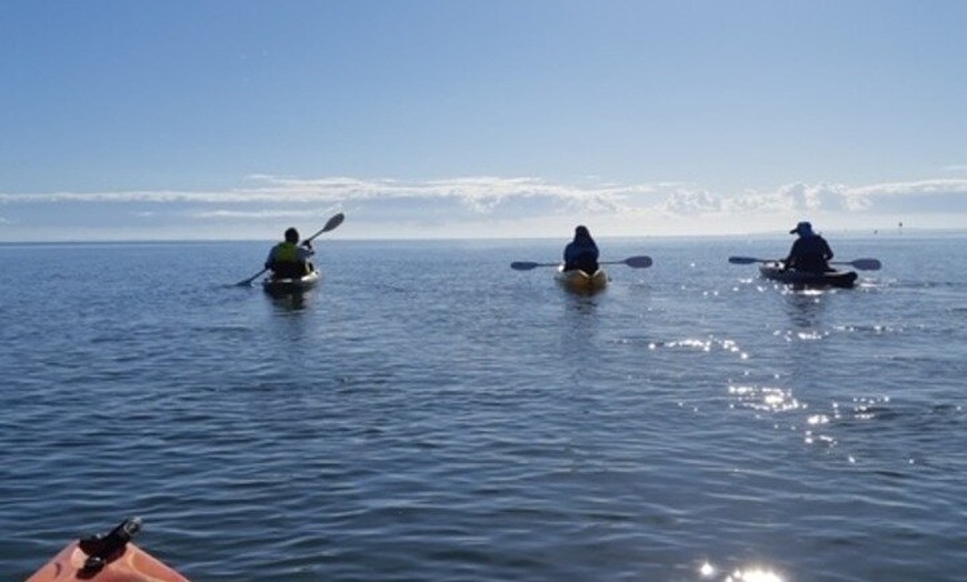 Image 2: Guided Kayak Adventure Tour