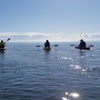 Image 2: Guided Kayak Adventure Tour
