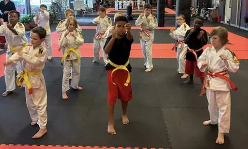 $24 For 4 Weeks of Beginner Karate (Reg. $49)