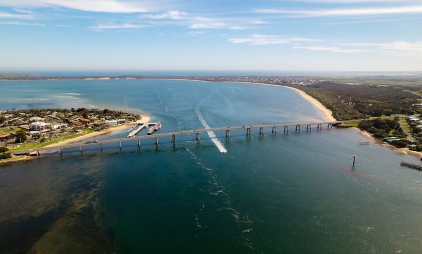 Image 13: Phillip Island Wildlife Tour from Melbourne w/Hop-On Hop-Off Bus