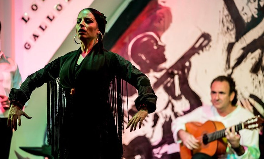 Image 10: Entrada para el espectáculo de flamenco en Los Gallos