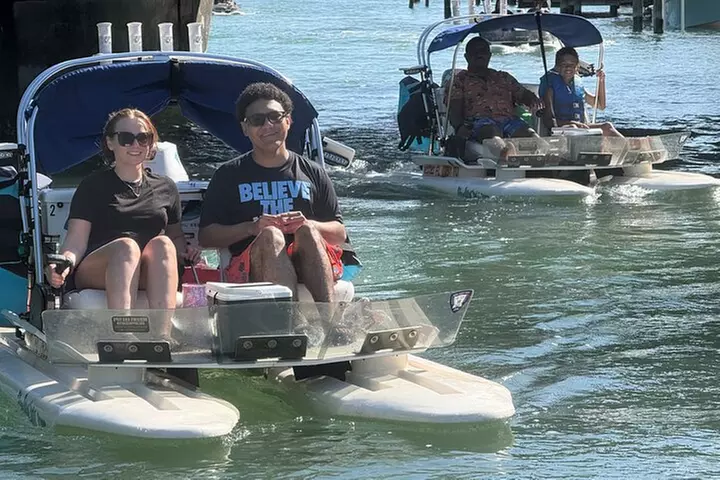 HydroCats - HydroCats | Groupon
