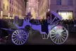 Luxury Horse and Carriage Rockefeller and Christmas lights tour - Second Medium