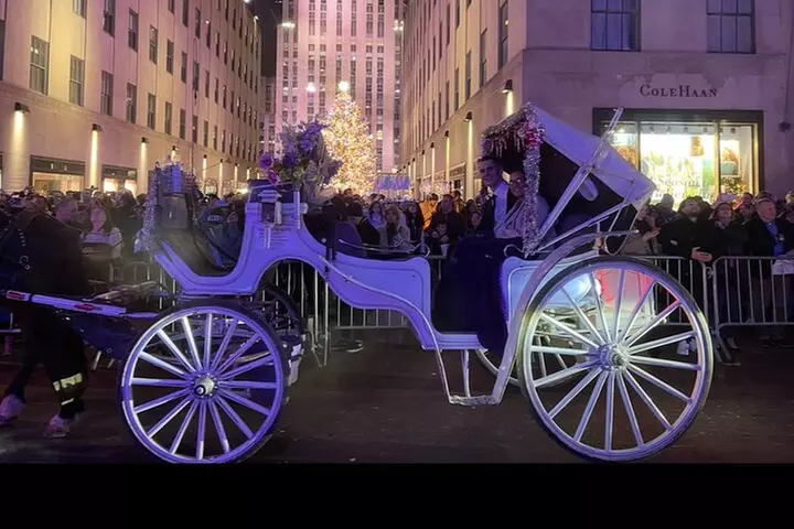 Luxury Horse and Carriage Rockefeller and Christmas lights tour