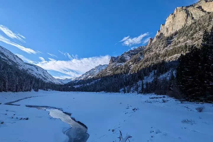 Leisurely Snowshoeing through the Bitterroot Mountains