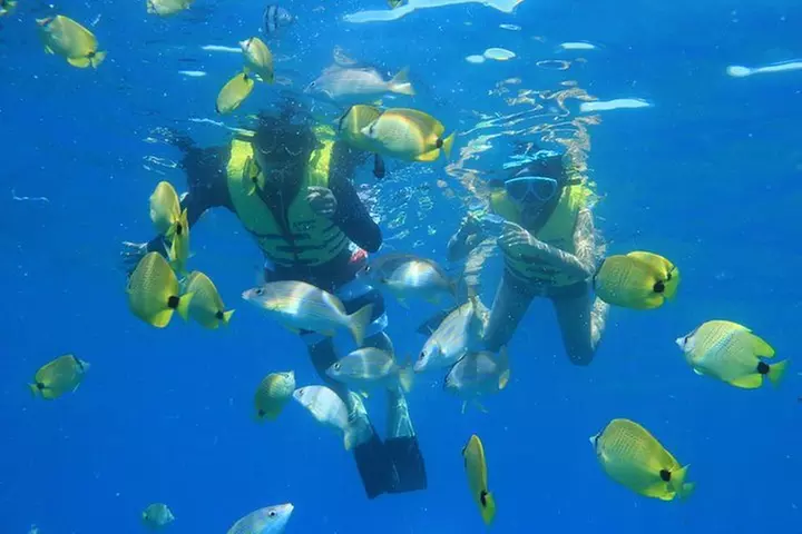 Ko Olina Catamaran Sail and Snorkel
