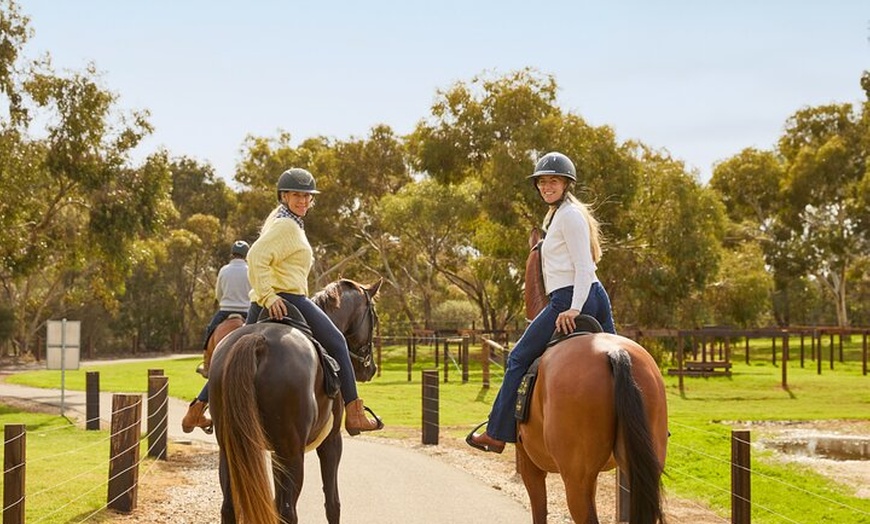 Image 4: Vineyard Trail Ride and Taste at Jacob's Creek