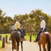 Image 4: Vineyard Trail Ride and Taste at Jacob's Creek