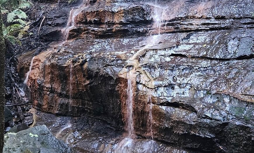 Image 4: English or German Luxury Private Blue Mountains Tour from Sydney