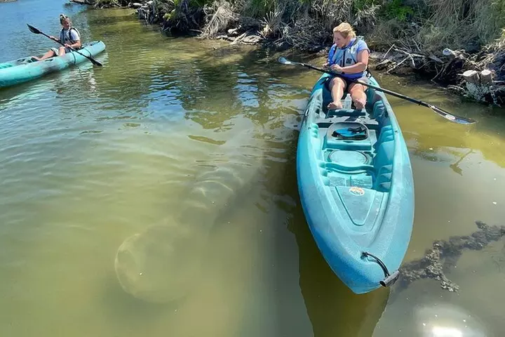 Wildlife Refuge Manatee, Dolphin & Mangrove Kayak or Paddleboarding...
