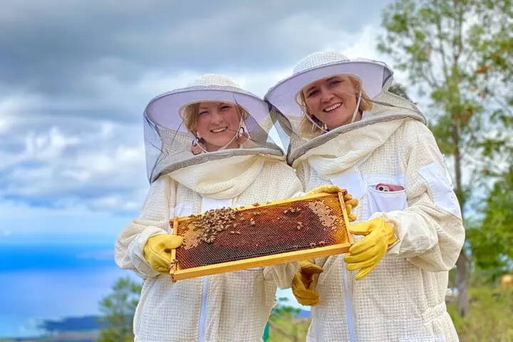 Honey Bee Adventure at the Maui Honey Bee Sanctuary