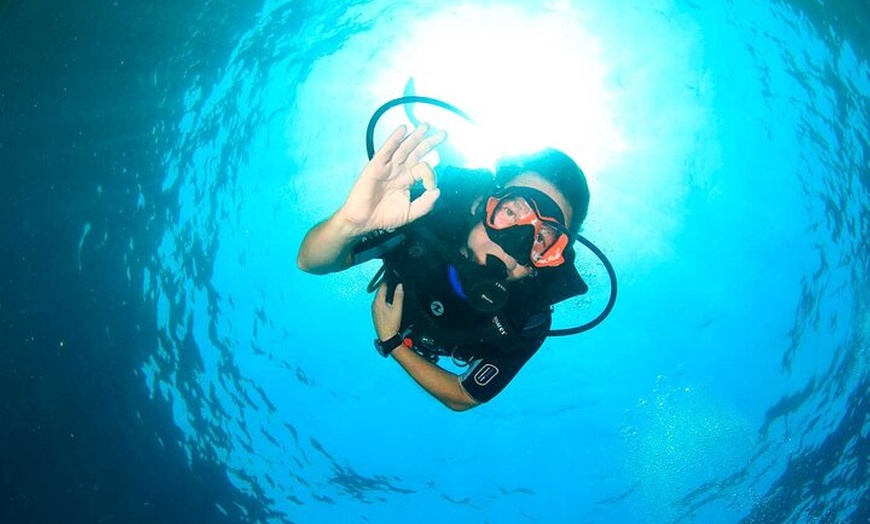 Image 14: Experiencia de buceo con instructor SSI en Cap Formentor