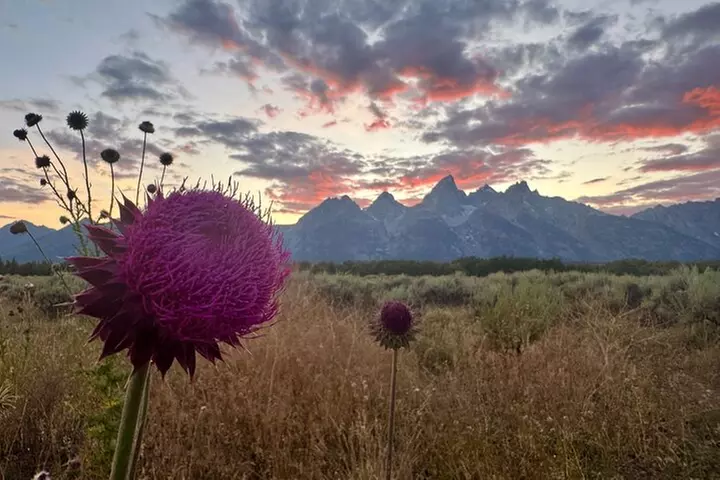 Teton & Yellowstone | Wildlife, Hot Springs, & Mountains PRIVATE