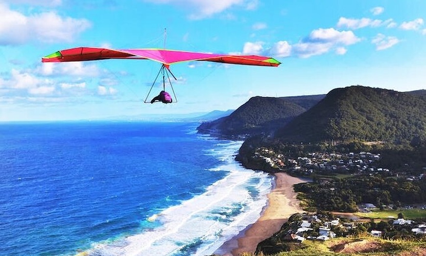 Image 14: Kiama & Kangaroos - Sydney South Coast Escape