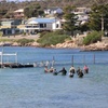 Image 7: Coffin Bay Oyster Farm Wading Tour & Tasting Experience