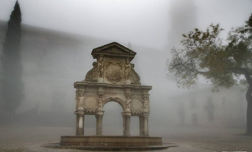 Image 5: Tour Por Baeza con Entrada a la Catedral