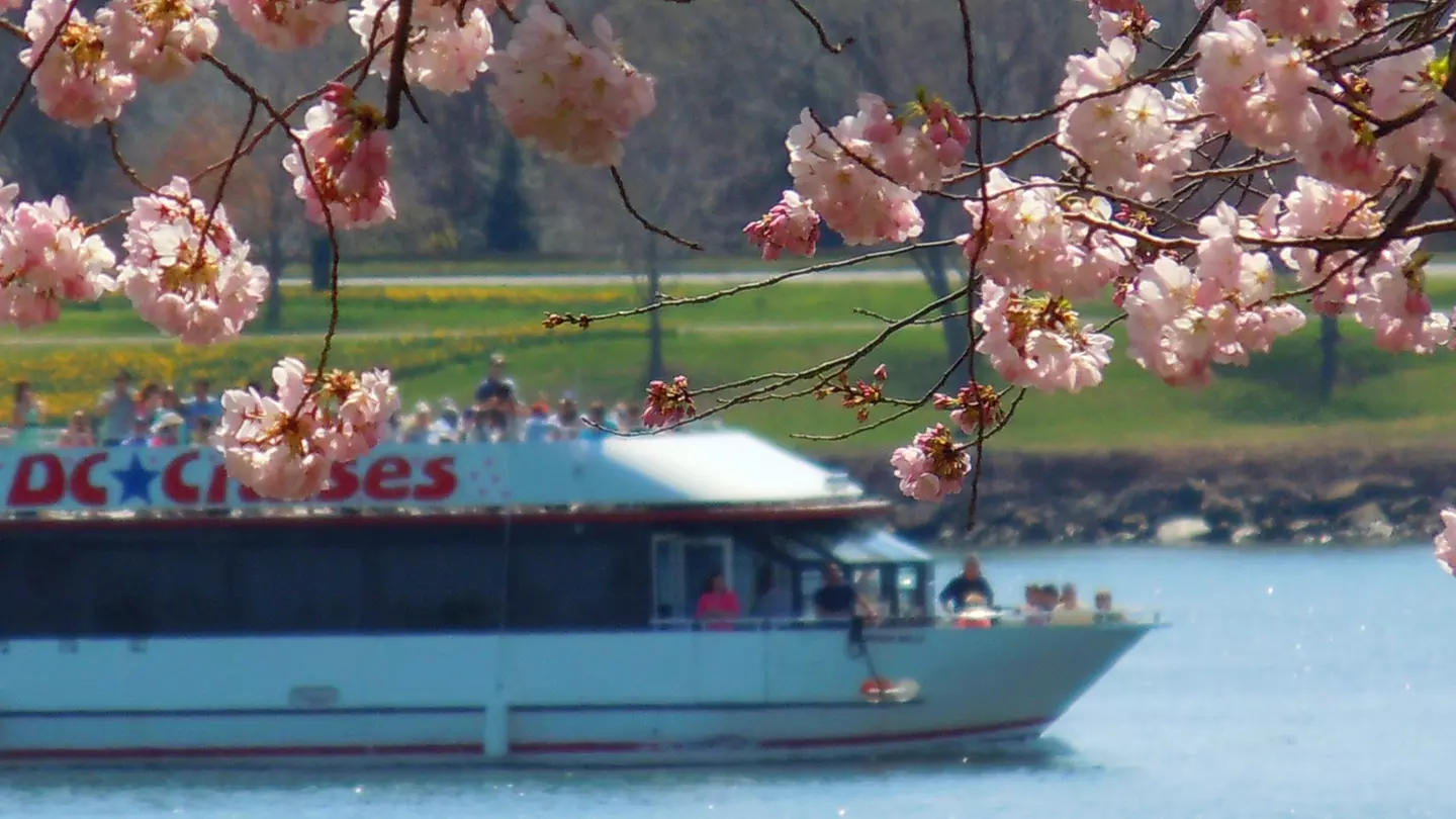 Cherry Blossom and Monuments Boat Tour at DC Cruises boat at Washington Harbor, Georgetown - Primary Image