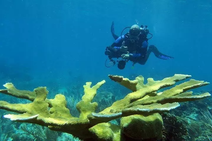 Fajardo 2-Tank Scuba Dive for Certified Divers Only - Primary Image