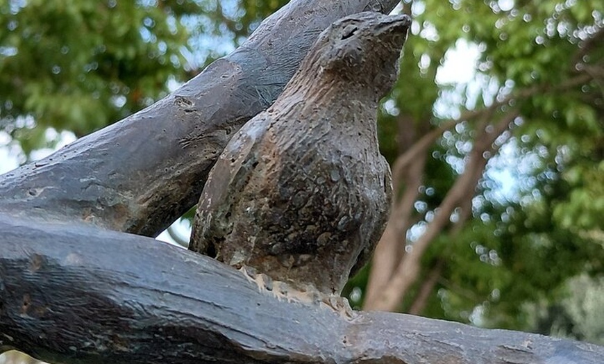 Image 10: Caza del carroñero autoguiado en Torremolinos