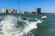 Marco Island Dolphin Watching & Tubing Adventure - Second Medium